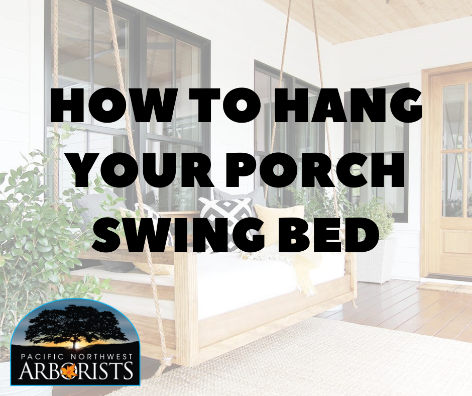 How To Hang Your Porch Swing Bed Pacific Northwest Arborist