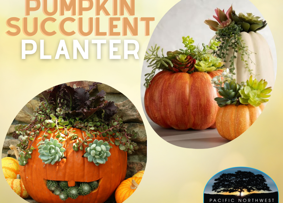 Pumpkin Succulent Planter