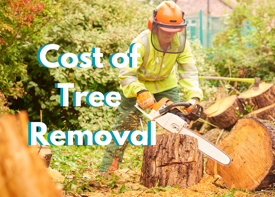 What Is The Cost of Removing A Tree?