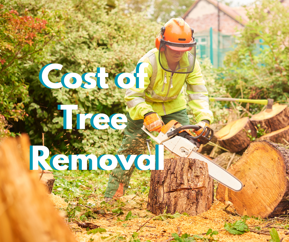 What Is The Cost of Removing A Tree? Pacific Northwest Arborist